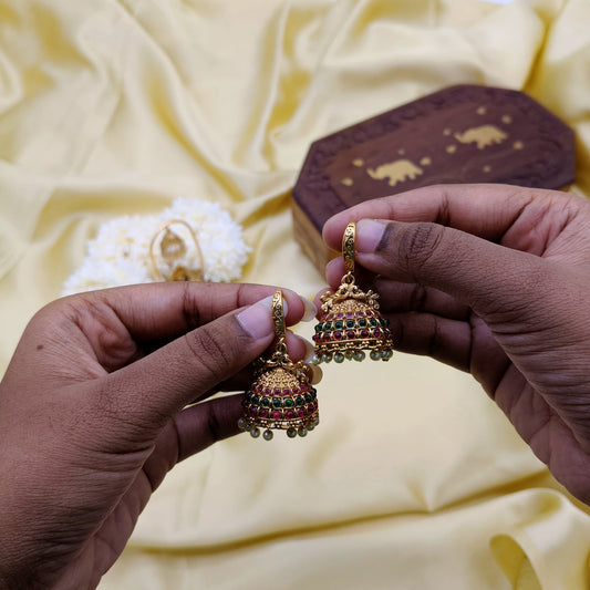 Premium Multicolour Hoops